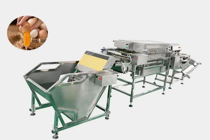 Egg Liquid Separation Production Line price Egg Liquid Separation Production Line price